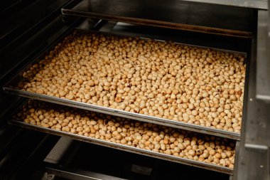 Taze kavrulmuş fındıklar ceviz kokusu ve sıcaklıkla çevrili altın öğleden sonra güneşi altında bir zanaatkar atölyesinde tepsilerde kurutuluyor.