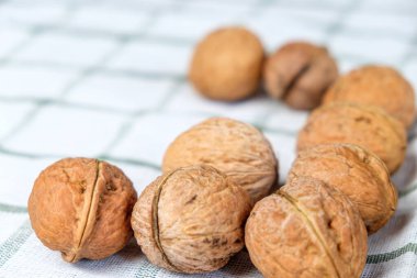 Taze cevizler beyaz bir havluda yatıyor, sabah güneşi güzel ahşap kabuğu aydınlatıyor..