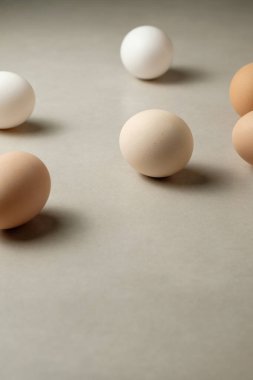Beyaz ve kahverengi tonlarında çeşitli yumurtalar hafif ve pürüzsüz bir yüzeyde dinleniyor. Yumuşak doğal ışık, yuvarlak şekillerini ve dokularını vurgular, sakin ve basit bir sahne yaratır..