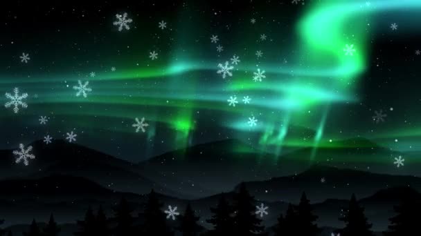 带着星星和雪的极光夜空 — 图库视频影像