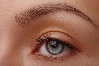 Closeup macro beauty photo of young woman eye with light iris, natural makeup and neat brow. Perfect detail for skincare, vision, health, cosmetics, wellness and lifestyle themes.