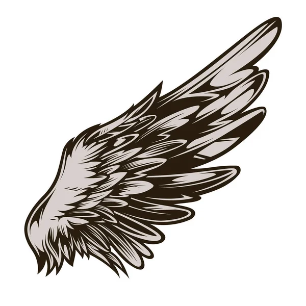 Izolovaná Ručně Kreslená Ilustrace Vektoru Křídla Ideální Pro Celou Řadu — Stockový vektor