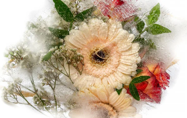 Garden Flowers Frozen Ice — Stock Photo, Image