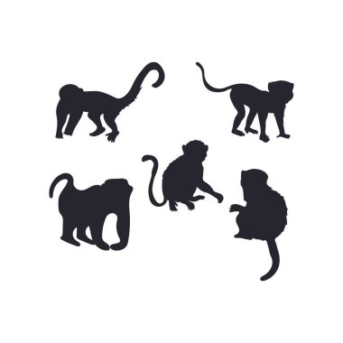 Paket maymun siluetini ayarla 