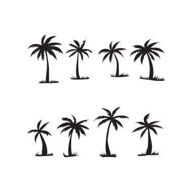 Palmiye Ağacı Palmiye Yaprakları