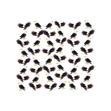 eagle Illustration set pattern clipart