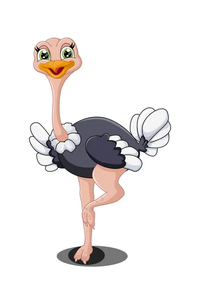 Beautiful Cute Pink Black Ostrich Design Animal Cartoon Vector Illustration — Stock Vector