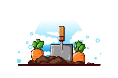 Ekinli havuç yetiştirme tasviri