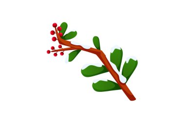 Kar Damgasıyla Bitki