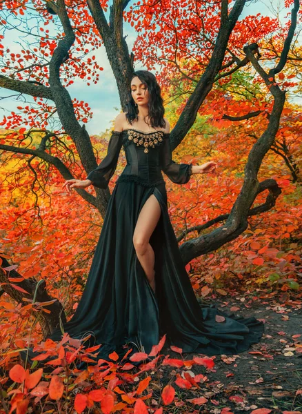 幻想的な女性のダーククイーンの木 秋の魔法の明るい森の近くに立っている 夜のファッションモデルセクシー妖精の女の子エレガントなロマンチックな黒のドレス高い足にスリット 赤オレンジ色の葉の木 — ストック写真