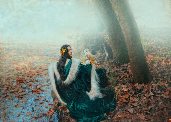 Floresta Ninfa Fantasia Mulher Com Pássaro Branco Segurando Coruja Mãos — Fotografia de Stock