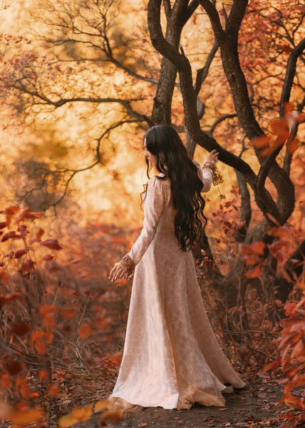 神秘的艺术肖像幻想中的女女王走在哥特式秋林里 穿着白色复古风格的衣服 女孩公主长长的波浪般的黑发中世纪性感的女人红色 深色的树园 — 图库照片