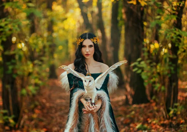 Art Photo Portret Fantasy Kobieta Bogini Elf Biały Ptak Sowa — Zdjęcie stockowe