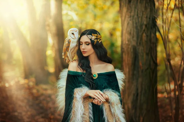 Konstfoto Porträtt Fantasy Kvinna Gudinna Nisse Vit Fågel Uggla Lada — Stockfoto