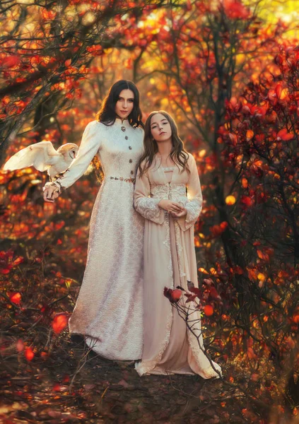 Two fantasy women walking in forest, young mother and adult daughter. Vintage dress. Owl barn owl white bird sits on hand Wisdom sign symbol. Woman queen and little girl princess. Autumn nature trees