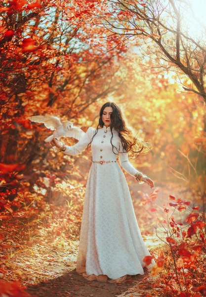 幻想中的女女王走在森林里 手里拿着白色的鸟笼猫头鹰 拍打着翅膀 公主小姐长发飘扬在空气中 随风飘扬 老式的衣服 秋天的自然红树 神奇的光芒 艺术照片 — 图库照片
