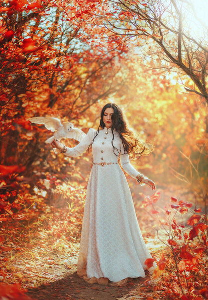 Fantasy woman queen walks in forest holds white bird barn owl, flaps wings on hand. Princess girl. long hair floats in air, fly wind. vintage dress. Autumn nature red trees magical light. Art photo.