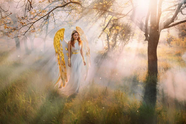 艺术摄影奇幻女天使带着金色的鸟儿翅膀漫步在森林里 仙女神秘女孩希腊女神长白古埃及风格的服装具有创意的珠宝 云雾神光神光 — 图库照片