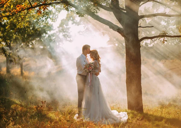 夫妻俩在一起谈情说爱 共度佳节结婚的理念 快乐的男人女人走在森林秋天里 神奇的阳光闪耀着雾气 穿浅灰长裙的新娘 新郎套装 — 图库照片