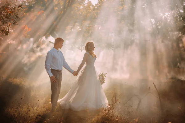 夫妻俩在一起谈情说爱 共度佳节结婚的理念 快乐的男人女人走在森林秋天里 神奇的阳光闪耀着雾气 穿浅灰长裙的新娘 新郎套装 — 图库照片