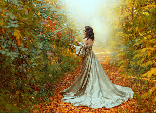 Queen woman walks in path, way mystical autumn forest. Orange foliage gothic trees mist smoke. Fantasy fairy princess girl touching leaves. Vintage long green dress, puffy sleeves Sexy back rear view