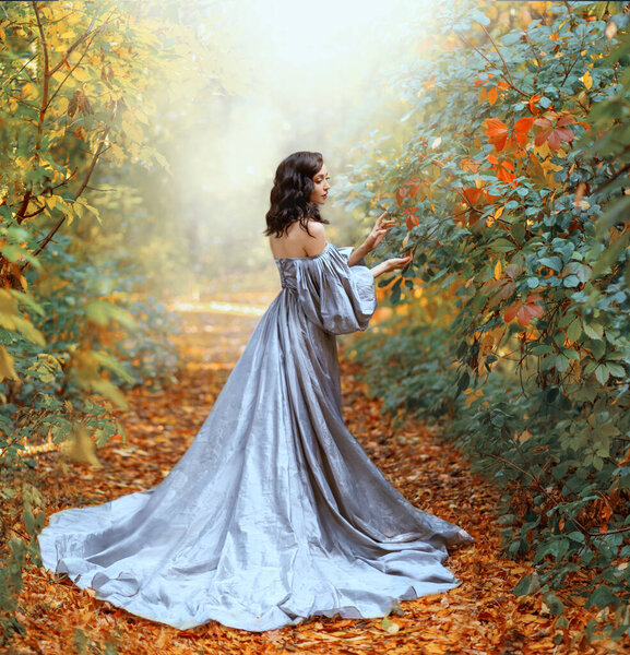 Queen woman walks in path, way mystical autumn forest magic fog. Orange foliage trees mist smoke. Fantasy fairy princess girl touching red leaves. Vintage long blue dress old style Sexy back rear view