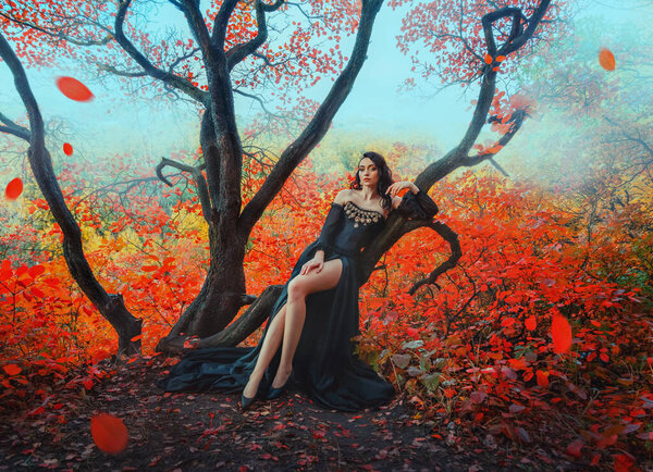 Fantasy woman dark queen sitting on tree branch autumn magic forest. Long gothic black dress. lady witch sexy legs . Photo art old style. Girl fairy princess fashion model. Orange red leaves falling,