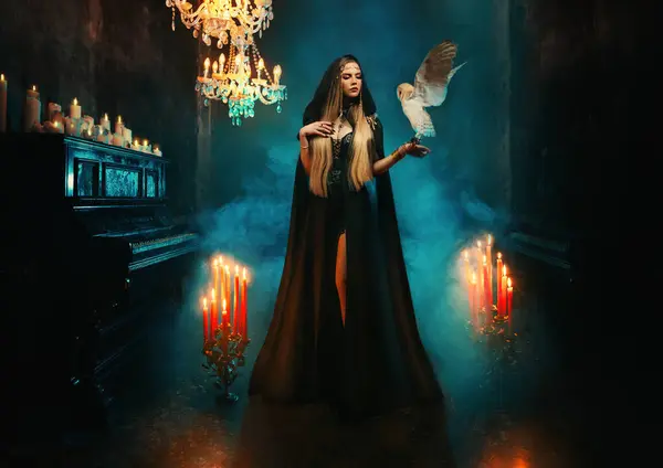 Art Photo Real Fantasy Gothic Woman Holding White Barn Owl Stock Image