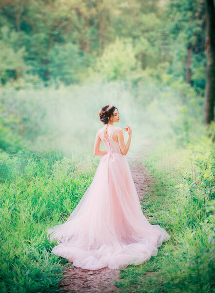cute anime princess with open bare back to camera, slender charming lady in long light pink peach dress to floor, royal charm of kind girl with diadem, fabulous idea of sewing fashionable prom gown.
