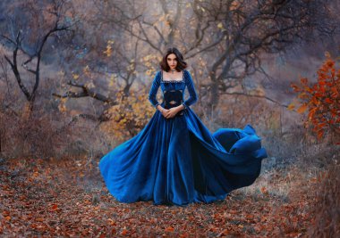Gotik fantezi kadın cadı elinde büyü kitabı tutuyor. Uzun mavi kadife kadife, eski moda elbiseler rüzgâr hareketiyle uçar. Kötü kız seksi kraliçe güzellik yüz. Sonbahar ormanı ağacı kırmızı portakal yaprakları