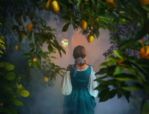 stock image art photo beauty fantasy woman walking in lemons garden trees fog rear view back lit morning dusk. Sexy old victorian style blue vintage dress, girl model. Citrus fruits lemon yellow green tree leaves