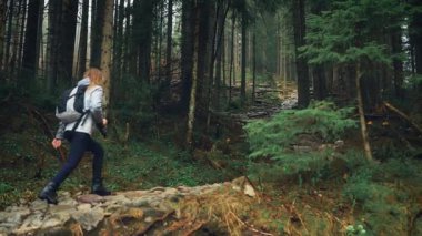 Gürültülü video. Mutlu kadın turist Polonya dağlarında yürüyor Tatry Zakopane. Çam ağaçları sonbahar doğasını köreltir. Yürüyüşçü kız taşların üzerinde yürüyor. Karanlık ormanın derinliklerinde. Arka arkaplan