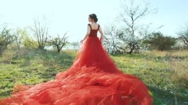 Fantezi kadın ortaçağ kraliçesi yeşil çayırda duruyor, asil kırmızı elbiseli kadın ve lon tren eteği. Gizemli yeşil ormanda yürüyen prenses sonbahar ormanı. Güneş batımı aydınlık karanlık çıplak ağaç