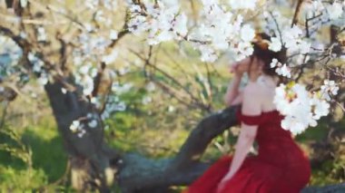 Çekici genç kadın ağacın kalın dalında oturuyor, uzun kırmızı etekli, etekli bir kız, çiçek açan kiraz ağacında altın tacı olan orman prensesi, baştan çıkarıcı çıplak omuzlu şık bir peri..