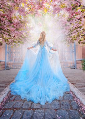 Sanat fotoğrafı gerçek insan mutlu fantezi kadın prenses açık güneş bahar caddesine koşuyor. Pembe çiçekler sakura çiçekli ağaç. Mavi, gür peri elbisesi, uzun tren. Perili elf kızı. Kraliçe sarı saç..