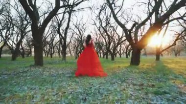 Fantezi kadın kraliçesi Gotik orman kara ağaçlarının gövdesinde koşar. Gizemli uzun kırmızı elbise treni hareket halinde. Kız prenses. gizemli ahşap yeşil çimenler. Güneş ışığı, koyu renk siluet. Arka arka görünüm.