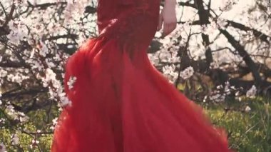 Lüks, kırmızı, zarif, etekli ve ince elbiseli bir kadın. Beyaz çiçekli koyu renk saçlı, fantezi kraliçesi, çiçek açan bahar sakura bahçesi. Altın tacı olan muhteşem prenses