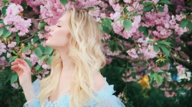Mutlu fantezi kadın bahar doğasının, pembe çiçeklerin tadını çıkarıyor. Sakura çiçeği kokusu alan kız prenses ağaç aroması. Kız model güzel, gülümseyen yüz. Sarı uzun dalgalı saçlar, mavi klasik elbiseler.