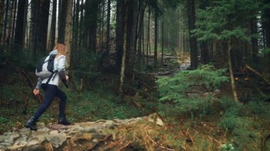 Gürültülü video. Mutlu kadın turist Polonya dağlarında yürüyor Tatry Zakopane. Çam ağaçları sonbahar doğasını köreltir. Yürüyüşçü kız taşların üzerinde yürüyor. Karanlık ormanın derinliklerinde. Arka arkaplan