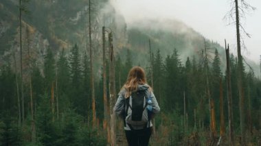 Gürültülü video. Genç mutlu kadın turist yağmurda Polonya Karpatya dağlarında Zakopane 'de yürüyor. Yüksek kayalar, çam ağaçları yeşil ağaçlar. İlkbahar sonbahar doğası. Yürüyüşçü kız doğa manzarasının tadını çıkarıyor.