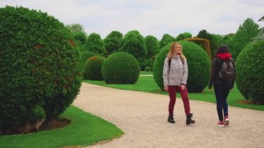 Çiçek açan yeşil ağaçlarda yürüyen iki insan. Pembe çiçekler. Baharda bahçeler. Ulusal park yaprakları dökülüyor. Doğanın tadını çıkarıyorum. Mutlu kızlar arkadaş arkası görünümü. Eski şehir Viyana Avusturya. Avrupa 'da seyahat eden kadın turistler