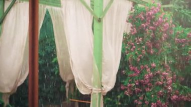 Eski film stili. Gürültü, film tahılları. Kötü yaz havası. Şiddetli yağmur. Çardağı ve uçan perdeleri olan bahar bahçesi. Düşen su damlaları gül ağaçlarının kesilmesini engelliyor. yeşil bir sürü pembe çiçek bırakır.