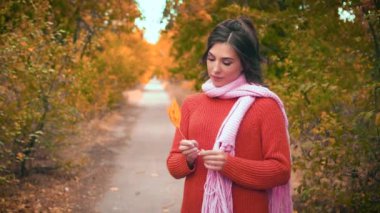 Örgü kazak giymiş çekici esmer kadın ve pembe eşarp elinde bir akçaağaç yaprağı tutuyor. Üzüntü ve yalnızlık, düşünen depresif bir yüz. Şık saç stili. Autumn Park Arkaplanı