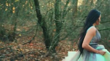 Lüks kabarık su rengi elbisesi içindeki gizemli kadın arkasına bakmadan kaçıyor. Gotik sonbahar ormanlarında muhteşem prenses. İpek kumaş koyu renk uzun saçlar hareket halinde. Sis, portakal yaprakları