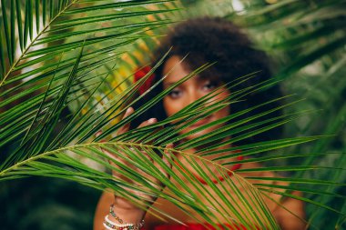 Bulanık siluet Afrikalı kadın dalların yaprakları arasından yeşil tropikal doğaya bakıyor. fantezi prensesi siyah kız güzel seksi yüz siyah saç fotoğrafı, vahşi eski uygarlık ilkel insanlar.