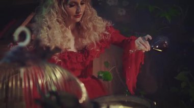 Karanlık bir ormanda lanet bir iksir hazırlayan kızıl bir cadı. Lüks, kabarık, geniş dantel kolları ve açık omuzları olan barok bir elbise. Sarışın bir kadın kaynayan büyük bir tencereye malzeme ekler..