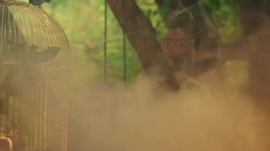 Gotik ya da fantezi tarzında video kaydı, masanın yanında altın kafes içinde eski kitaplar ve küçük orman evinin yanındaki mataralarda sihirli sıvılar, beyaz duman ve buharla kaplı laboratuvar, insan yok..