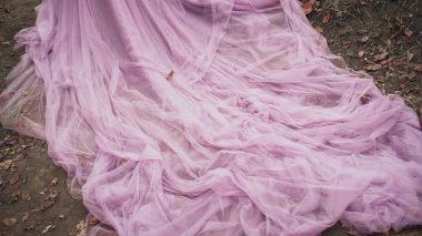 Güzel, genç, sarışın prenses uzun trenli, mor, gür bir elbise içinde duruyor. Ortaçağ modası. Büyüleyici kraliçe tacın içinde. Sonbahar ormanlarının arka planı, siyah ağaçlar, turuncu yapraklar.