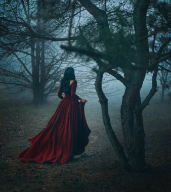 Gerçek sanat fotoğrafçısı Gotik kız karanlık sisli orman ağaçlarında koşuyor, kadife kırmızısı uzun ortaçağ tarzı uzun tren rüzgarı. Fantezi Kadını Siyah saçlar geri görüş perisi prenses.
