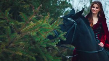 Kış ormanı Güzel fantezi kadın binici ata biner. Siyah at yeşil ladin dallarını yiyor. Gülümseyen mutlu yüz portresi. Peri kız kızıl saçlı prenses kadife rengi uzun elbise, pelerin, başlık